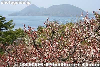 The road is too steep to ride a bicycle, but short enough to walk it. You will be sweating though.
Keywords: hokkaido sobetsu-cho koen park ume plum blossoms flowers trees lake toya nakajima islands