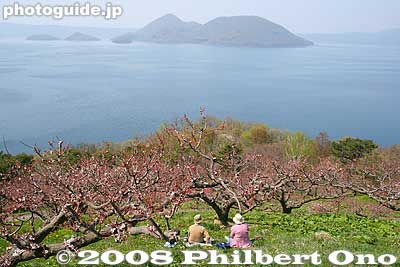 Sobetsu Park gives great views of Lake Toya and the Nakajima islands.
Keywords: hokkaido sobetsu-cho koen park ume plum blossoms flowers trees lake toya nakajima islands water