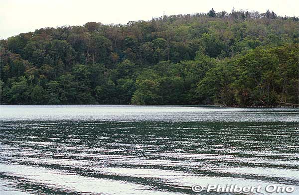 Lake Kussharo's water surface looks artistic.
Keywords: hokkaido teshikaga lake kussharo