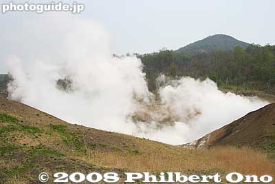 One of the largest and most active Nishiyama crater. There are about 30 craters in the area, and this one emits the most steam.
Keywords: hokkaido toyako-cho nishiyama craters volcano trail park