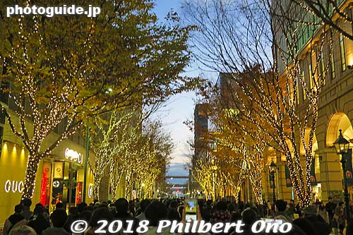 Some lights on trees next to Daimaru. The line proceeded pretty quickly after the lights turned on at 5 pm on Sat.
Keywords: hyogo kobe motomachi luminarie holiday lights illumination