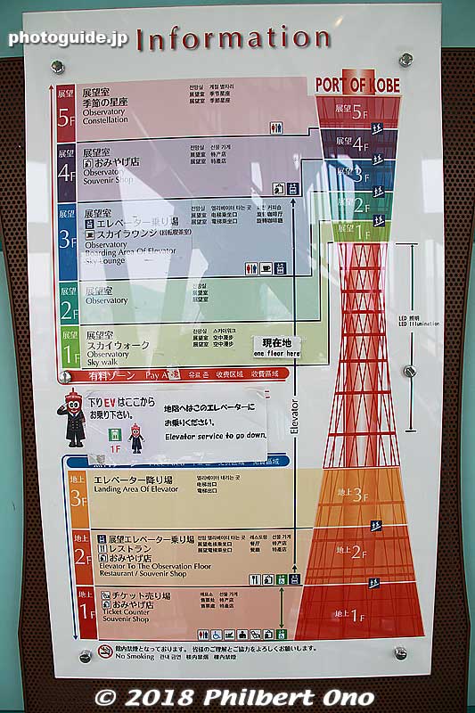 All the decks on Kobe Port Tower. 
Keywords: kobe chuo-ku meriken park port tower