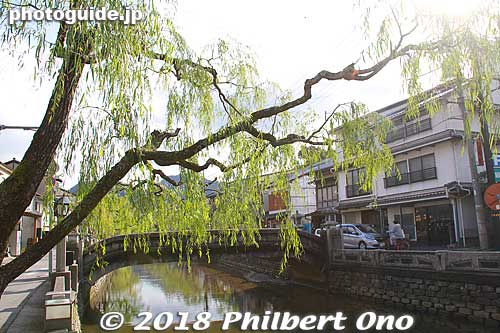 Willow trees along the river at Kinosaki Onsen hot spring. 
Keywords: hyogo toyooka kinosaki onsen hot spring spa