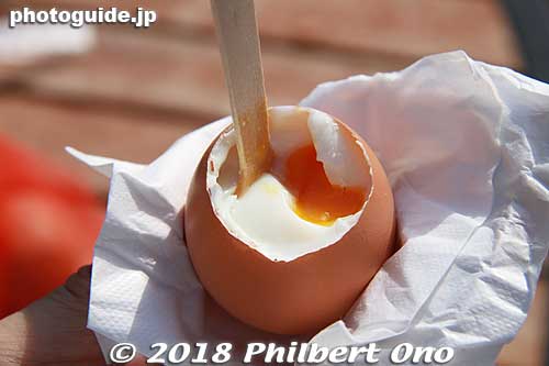 After 11 min., the eggs were perfectly soft boiled. A niftly tool cut away the top portion of the egg shell. Sprinkle some salt and yummy!
Keywords: hyogo toyooka kinosaki onsen hot spring spa