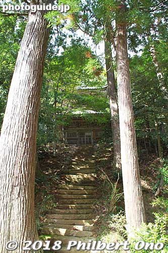 Onsenji Temple's Tahoto pagoda at the top of the stairs.
Keywords: hyogo toyooka kinosaki onsen hot spring spa buddhist temple