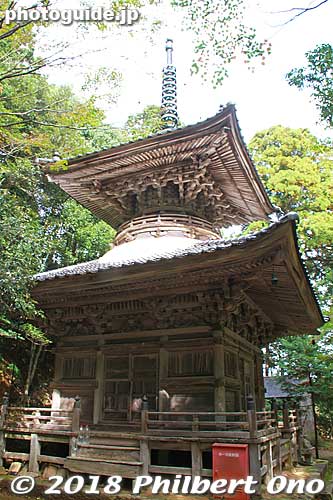 Onsenji Temple's Tahoto pagoda dates back to 1768. It houses a Buddha statue. 金剛界大日如来
Keywords: hyogo toyooka kinosaki onsen hot spring spa buddhist temple