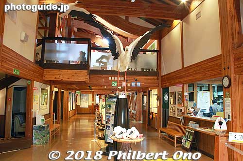 Inside the Oriental White Stork Culture Center. Walk through this building to the other side of the building to see the open cage.
Keywords: hyogo toyooka Oriental White Stork Park kounotori konotori