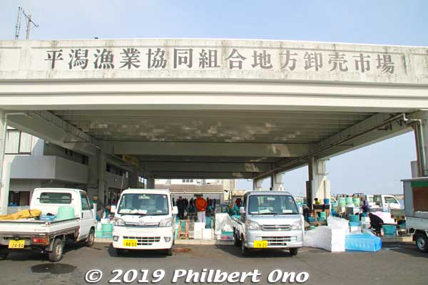 Hirakata Port has a fish market that holds a fish auction in the afternoon. This is a typical wholesale fish market in Japan. Open-air, flat roof with a concrete floor next to fishing boats. 
Keywords: ibaraki kitaibaraki hirakata port fish auction