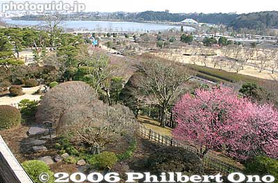 View from the top floor of Kobuntei Villa
Keywords: ibaraki mito kairakuen garden plum blossom flowers ume