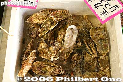 Fresh oysters
Keywords: ibaraki oarai-cho beach seafood