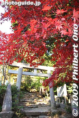 Keywords: ibaraki mount mt. tsukuba fall autumn leaves maple tree momiji