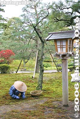 Keywords: ishikawa kanazawa kenrokuen gardener