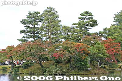 Keywords: ishikawa kanazawa kenrokuen garden matsu pine tree
