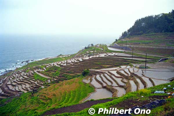 The smallest rice terace is only 0.2 sq. meter. The land is very fertile and minimal fertilizer is required. Senmaida is one of the most picturesque and impressive spots on the Noto Peninsula.
Address: 石川県輪島市白米町99-5
Keywords: ishikawa Wajima noto hanto peninsula rice paddies terraced