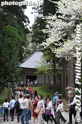 The admission fee includes admission to Konjikido Hall, Sankozo Museum, Sutra Repository, and the Former Konjikidō Shelter Hall.
Keywords: iwate hiraizumi world heritage site buddhist temples chusonji tendai