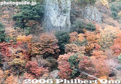 Autumn colors seen from the ropeway.
Keywords: kagawa shodoshima island