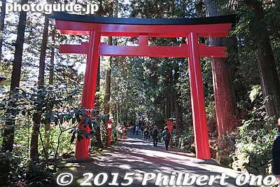 Hakone Shrine
Keywords: kanagawa moto hakone japanshrine torii