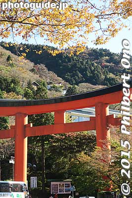 Hakone Shrine's torii in autumn.
Keywords: kanagawa moto hakone lake ashi torii