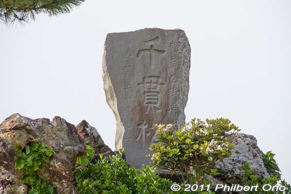 Sengan Pine tree monument.
Keywords: Kanagawa Hayama Morito Coast