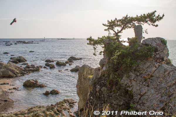 Sengan Pine tree, Morito Coast, Hayama, Kanagawa. 千貫松
Keywords: Kanagawa Hayama Morito Coast torii