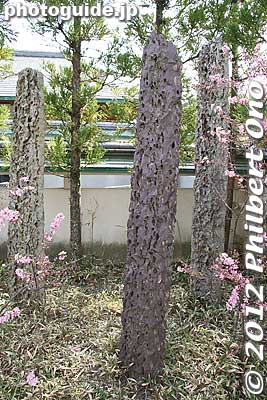 Petrified rocks
Keywords: kanagawa kamakura tsurugaoka hachimangu shrine japanese garden