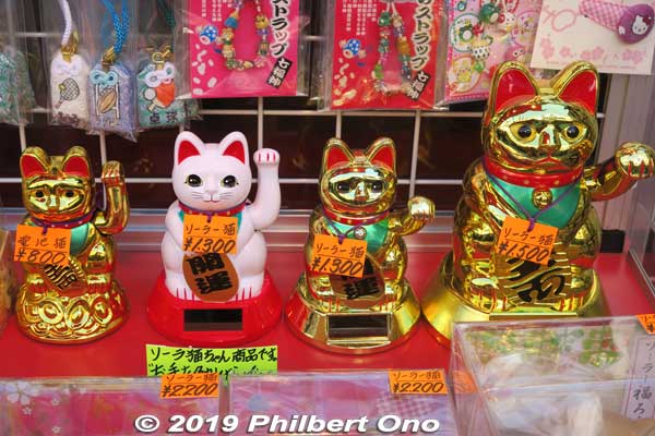 Beckoning cats or maneki-neko.
Keywords: kanagawa kawasaki shingon-shu Buddhist temple daruma