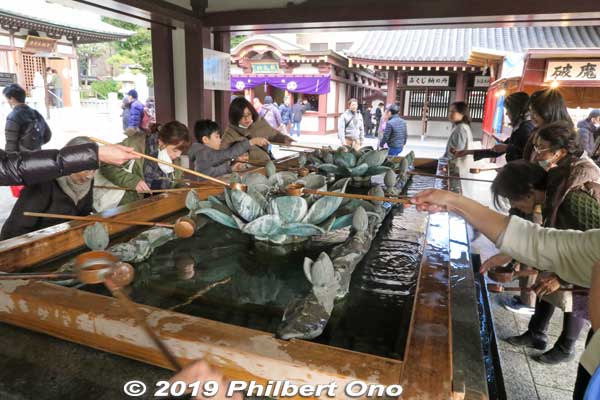 Water basin with a lotus flower.
Keywords: kanagawa kawasaki shingon-shu daishi Buddhist temple