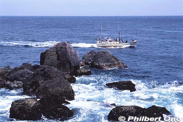 Fishing boat sailing past Manazuru Peninsula.
Keywords: kanagawa manazuru peninsula cape