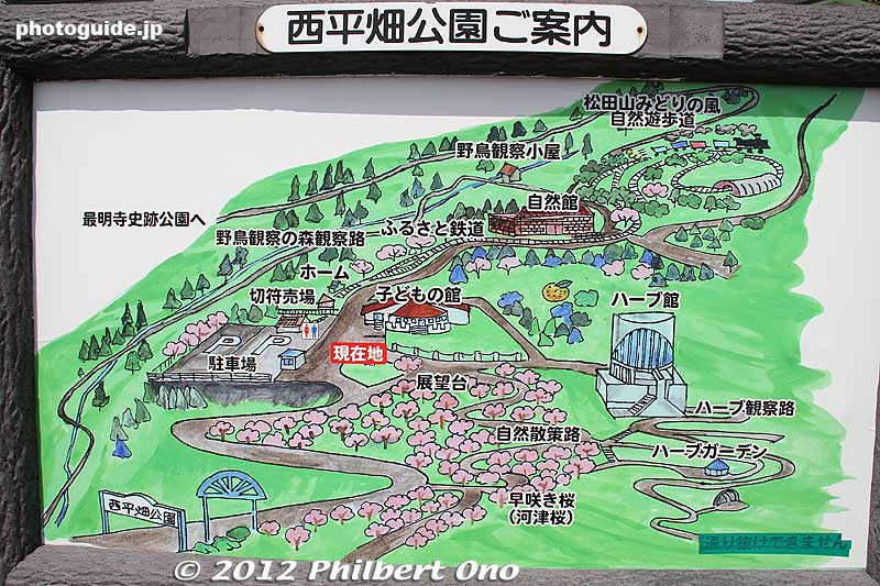 Map of Matsuda Cherry Blossom Festival site on the slope of Matsuda-yama. It is a hillside park called Nishihirabatake Park. Lots of Kawazu sakura trees.
Keywords: kanagawa matsuda-machi town kawazu sakura matsuri cherry blossoms flowers trees