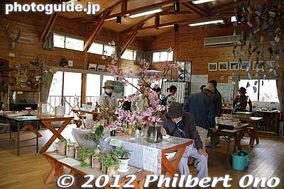 Inside the Nature Museum.
Keywords: kanagawa matsuda-machi town kawazu sakura matsuri cherry blossoms flowers trees