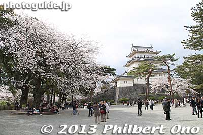 Odawara Castle Honmaru keep.
Keywords: kanagawa odawara castle cherry blossoms sakura flowers