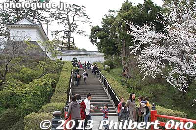 Steps going to Tokiwagi Gate.
Keywords: kanagawa odawara castle cherry blossoms sakura flowers