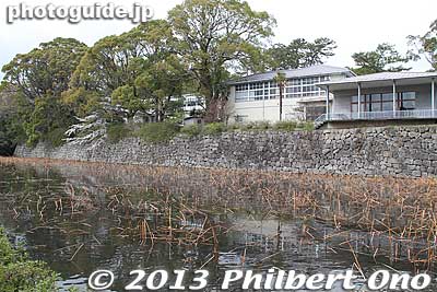 Lotus in this moat.
Keywords: kanagawa odawara castle cherry blossoms sakura flowers