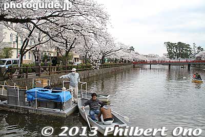 At the corner of the most you can rent rowboats here.
Keywords: kanagawa odawara castle cherry blossoms sakura flowers moat