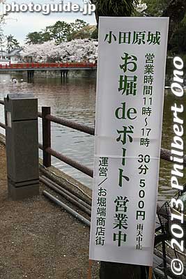 You can rent a rowboat for ¥500 per 30 minutes.
Keywords: kanagawa odawara castle cherry blossoms sakura flowers moat