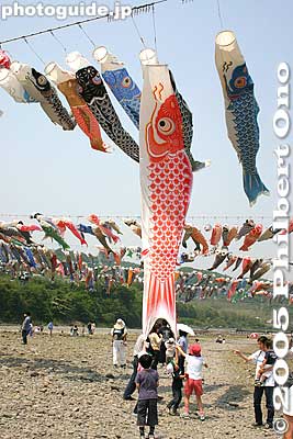 Keywords: kanagawa, sagamihara, koinobori, matsuri5, festival, koi-nobori, children's day, carp streamers