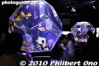 Nikon had a dark room with colorful aquariums.
Keywords: kangawa yokohama cp+ camera photo imaging expo show 