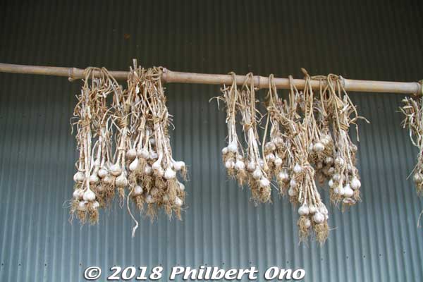 Garlic.
Keywords: kyoto ayabe farmhouse lodge minshuku