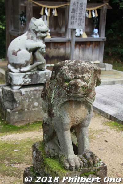 Koma-inu lion dog also protects the shrine.
Keywords: kyoto kyotango Kotohira Konpira Shinto shrine koma-neko cat guardians