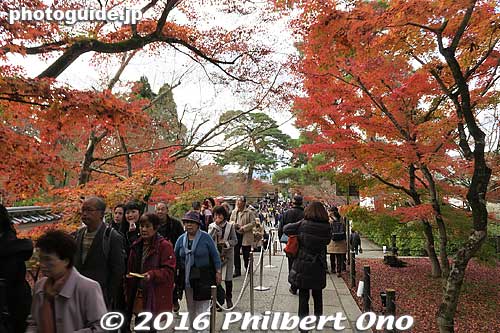 Eikando is a Jodo-shu Buddhist temple famous for autumn foliage, especially red maples. One of Kyoto's most photogenic spots for fall leaves.
Keywords: kyoto eikando buddhist temple jodo-shu autumn foliage leaves fall maples
