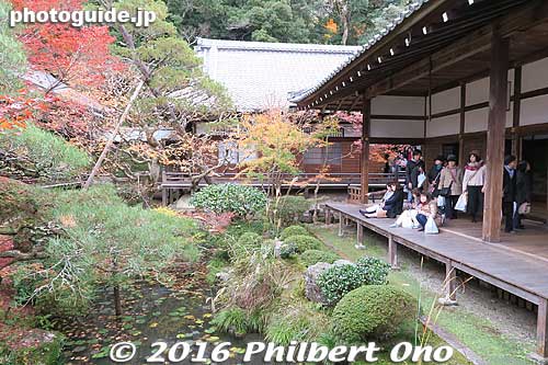 Courtyard garden seen from the Shaka-do Hall.
Keywords: kyoto eikando buddhist temple jodo-shu autumn foliage leaves fall maples