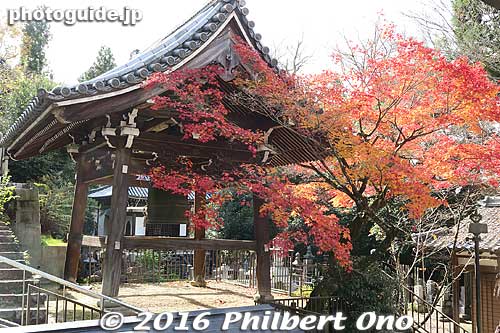 Temple bell
Keywords: kyoto eikando buddhist temple jodo-shu autumn foliage leaves fall maples