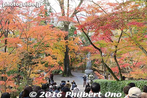 Keywords: kyoto eikando buddhist temple jodo-shu autumn foliage leaves fall maples