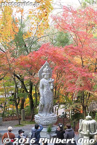 Yasuragi Kannon at Eikando
Keywords: kyoto eikando buddhist temple jodo-shu autumn foliage leaves fall maples japanaki
