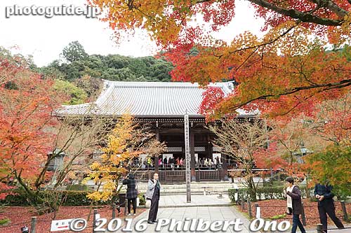 Miei-do Hall (Daiden)
Keywords: kyoto eikando buddhist temple jodo-shu autumn foliage leaves fall maples