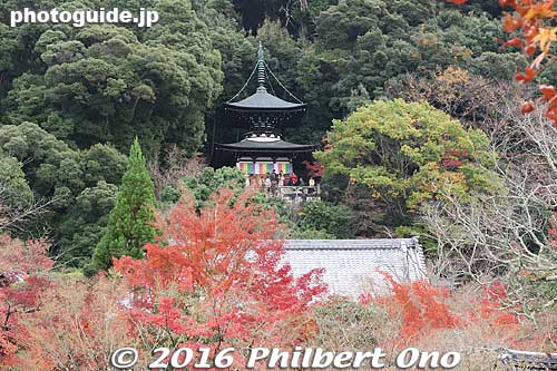 The two-story pagoda (Tahoto) is a short climb up the stairs. Worth the view.
Keywords: kyoto eikando buddhist temple jodo-shu autumn foliage leaves fall maples