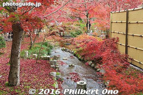Keywords: kyoto eikando buddhist temple jodo-shu autumn foliage leaves fall maples