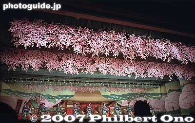 Climax with cherry blossom motif.
Keywords: kyoto miyako odori cherry dance geisha gion kobu kaburenjo theater