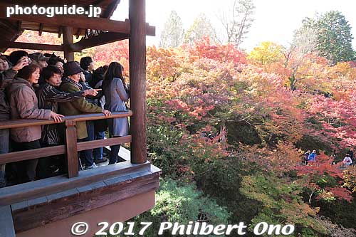 The middle of the bridge has this little deck protruding outward.
Keywords: kyoto higashiyama-ku tofukuji temple zen fall autumn foliage leaves maples