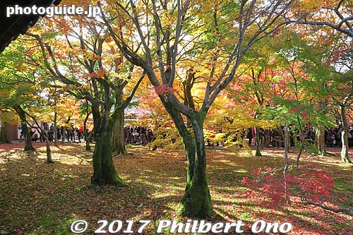 Keywords: kyoto higashiyama-ku tofukuji temple zen fall autumn foliage leaves maples